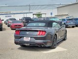 Certified 2022 Ford Mustang Premium image 5