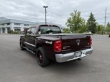 Used 2005 Dodge Dakota SLT image 3