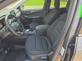 New 2025 Ford Escape Active w/ Cold Weather Package image 4