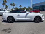 Used 2020 Ford Mustang Premium image 3