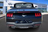 Used 2024 Ford Mustang Premium image 4