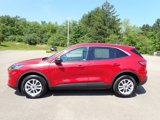 Used 2022 Ford Escape SE image 2