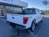 Used 2021 Ford F150 XLT w/ Equipment Group 302A High image 6