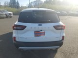 New 2025 Ford Escape Active w/ Tech Pack #1 image 5