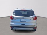 Used 2019 Ford Escape SEL image 5
