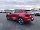New 2025 Ford Escape ST-Line Elite w/ Premium Technology Package image 3
