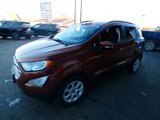 Used 2020 Ford EcoSport SE image 6