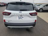 Used 2023 Ford Escape Active w/ Tech Pack #2 image 4