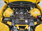 Used 2002 Pontiac Firebird Trans Am image 2