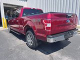 Used 2019 Ford F150 XLT w/ Equipment Group 302A Luxury image 6