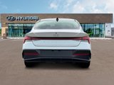 New 2025 Hyundai Elantra SEL image 6