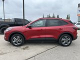 New 2025 Ford Escape ST-Line w/ Tech Pack #1 image 3