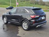 Used 2020 Ford Escape SE image 3