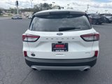 Used 2021 Ford Escape SE w/ Cold Weather Package image 4