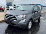 Used 2021 Ford EcoSport SE w/ SE Convenience Package image 4