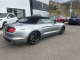 Certified 2022 Ford Mustang Premium image 3