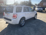 Used 2011 Ford Escape Limited w/ 302A Rapid Spec Order Code image 3