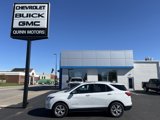 Used 2019 Chevrolet Equinox Premier image 2