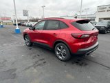 New 2025 Ford Escape ST-Line w/ Tech Pack #1 image 3