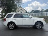 Used 2011 Ford Escape Limited w/ 302A Rapid Spec Order Code image 5