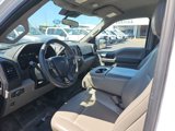 Used 2019 Ford F150 XL w/ Equipment Group 101A Mid image 4