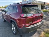 Used 2019 Jeep Cherokee Latitude Plus w/ Cold Weather Group image 5