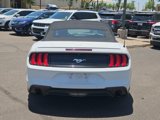 Used 2018 Ford Mustang Premium image 4