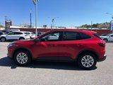 New 2025 Ford Escape Active w/ Cold Weather Package image 6