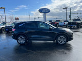 Used 2022 Ford Escape SEL w/ Technology Package image 2