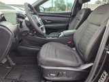 Used 2022 Hyundai Santa Cruz SEL w/ Activity Package image 5