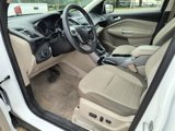 Used 2014 Ford Escape SE image 2