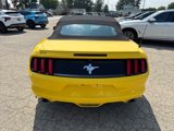 Used 2015 Ford Mustang Convertible w/ Equipment Group 051A image 5