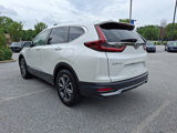 Certified 2022 Honda CR-V EX-L image 4