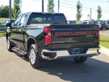 Used 2020 Chevrolet Silverado 1500 LT w/ All-Star Edition image 3