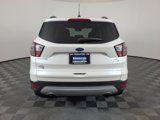 Used 2017 Ford Escape SE w/ SE Leather Comfort Package image 4