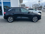 Used 2020 Ford Escape SEL image 6