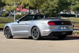 Used 2022 Ford Mustang Premium image 6