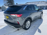 Used 2022 Ford Escape SE w/ Convenience Package image 5