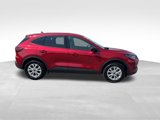Used 2025 Ford Escape Active w/ Cold Weather Package image 2