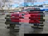 Used 2014 Ford F150 XLT w/ Equipment Group 302A Luxury image 6