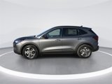 New 2025 Ford Escape ST-Line w/ Equipment Group 301A image 5
