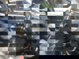 Used 2019 Ford EcoSport Titanium image 4