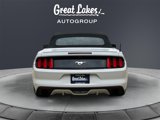 Used 2016 Ford Mustang Premium image 4