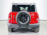 New 2024 Ford Bronco Black Diamond image 5
