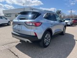 Certified 2022 Ford Escape SEL image 4