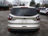 Used 2018 Ford Escape SE w/ SE Sport Appearance Package image 4