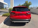 Used 2024 Ford Escape Active w/ Tech Pack #1 image 5