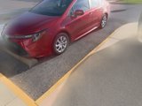 Used 2020 Toyota Corolla LE image 2