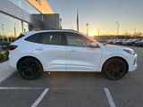 Certified 2023 Ford Escape ST-Line Elite w/ Premium Technology Package image 4