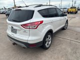 Used 2014 Ford Escape SE w/ Equipment Group 201A image 3